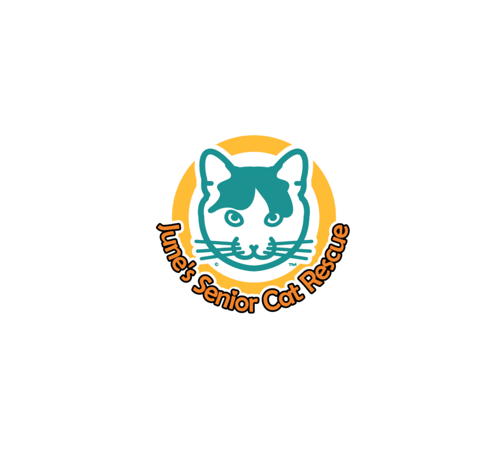 June's Senior Cat Rescue logo features a teal and white cat face within a
