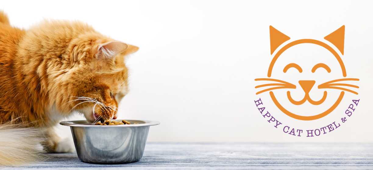 cat eating from stainless bowl happy cat spa logo