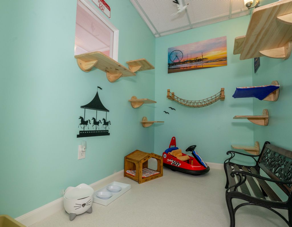 Atlantic Kitty Boardwalk