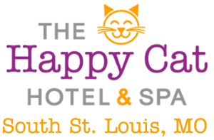 South St. Louis Logo