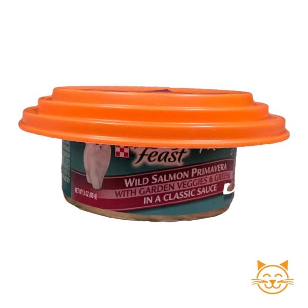 cat food lid attached to food container