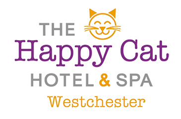 Happy Cat Hotel in Westchester, NY