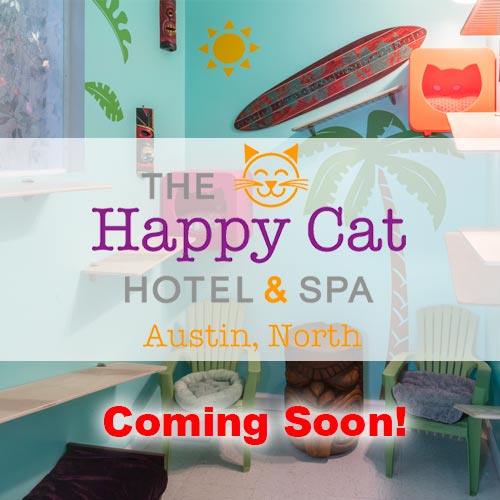 Happy Cat Hotel Austin North