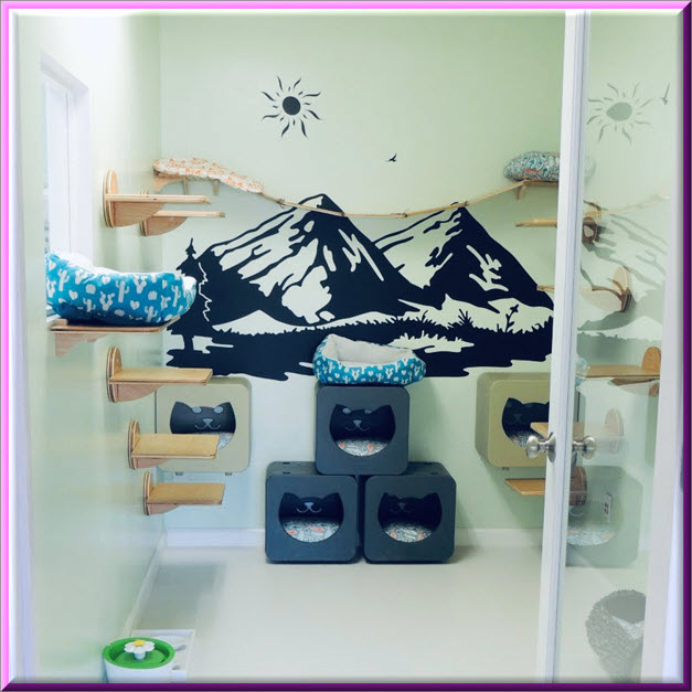 Happy Cat Hotel Luxury Cat Boarding & Cat Grooming