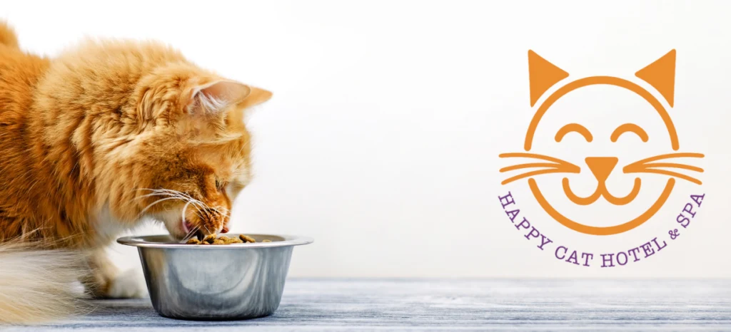 A fluffy orange cat eating from a bowl next to the Happy Cat Hotel & Spa logo.